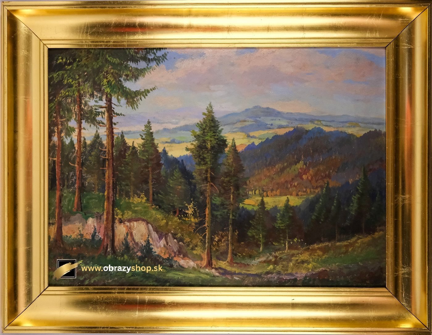 Pohľad do krajiny