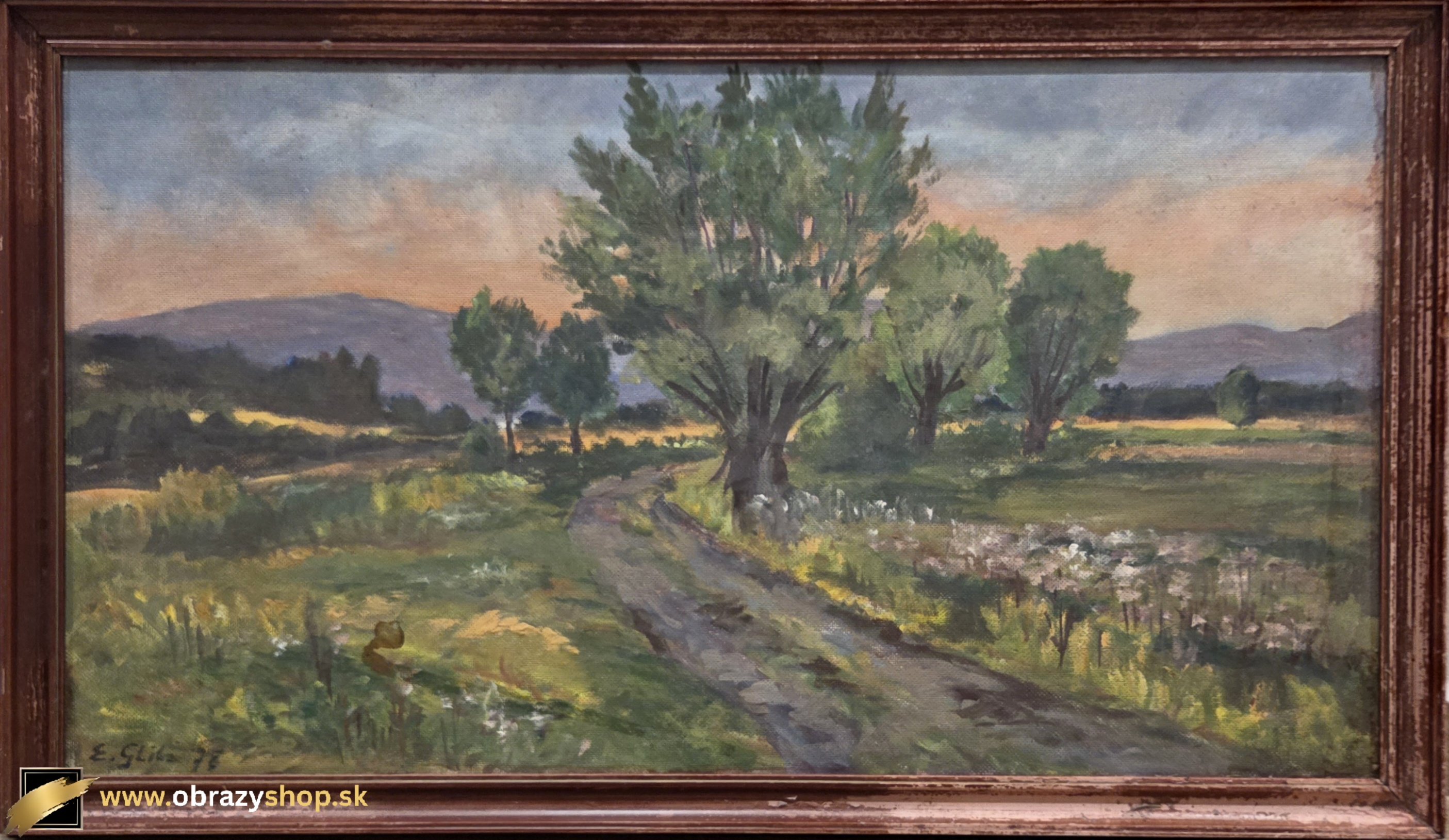 Lesná cesta - Evžen Gliba